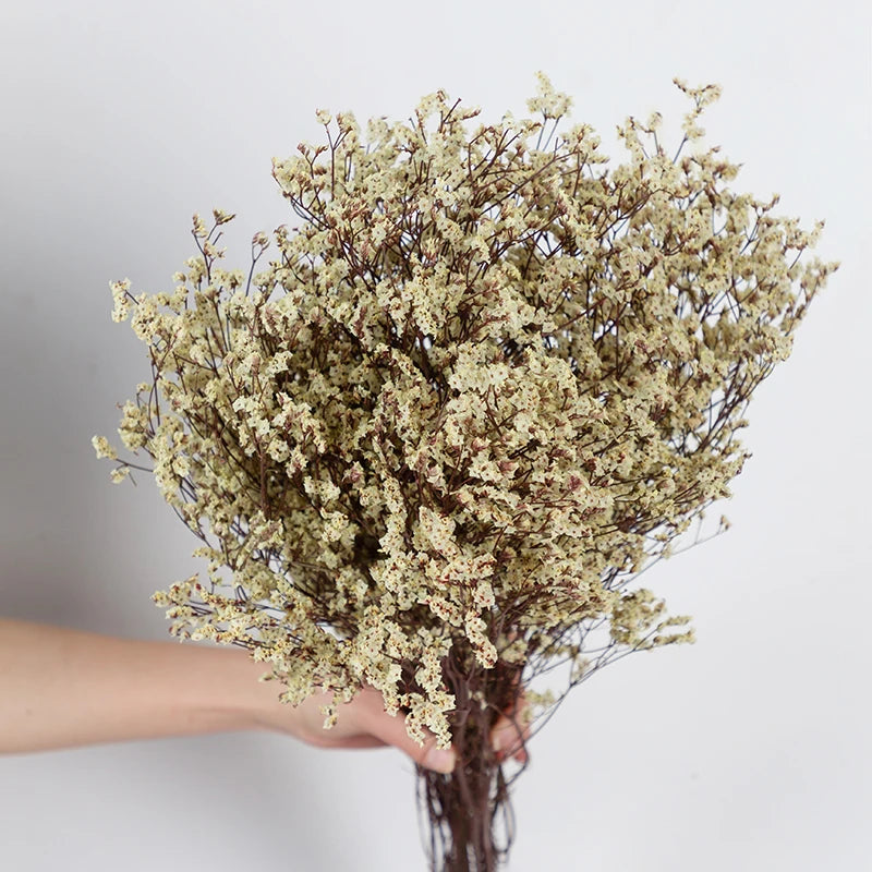 Natural Dried Real flowers