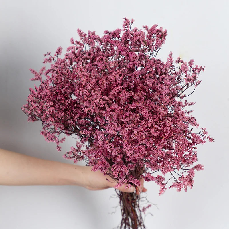 Natural Dried Real flowers