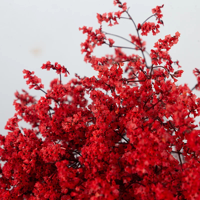 Natural Dried Real flowers