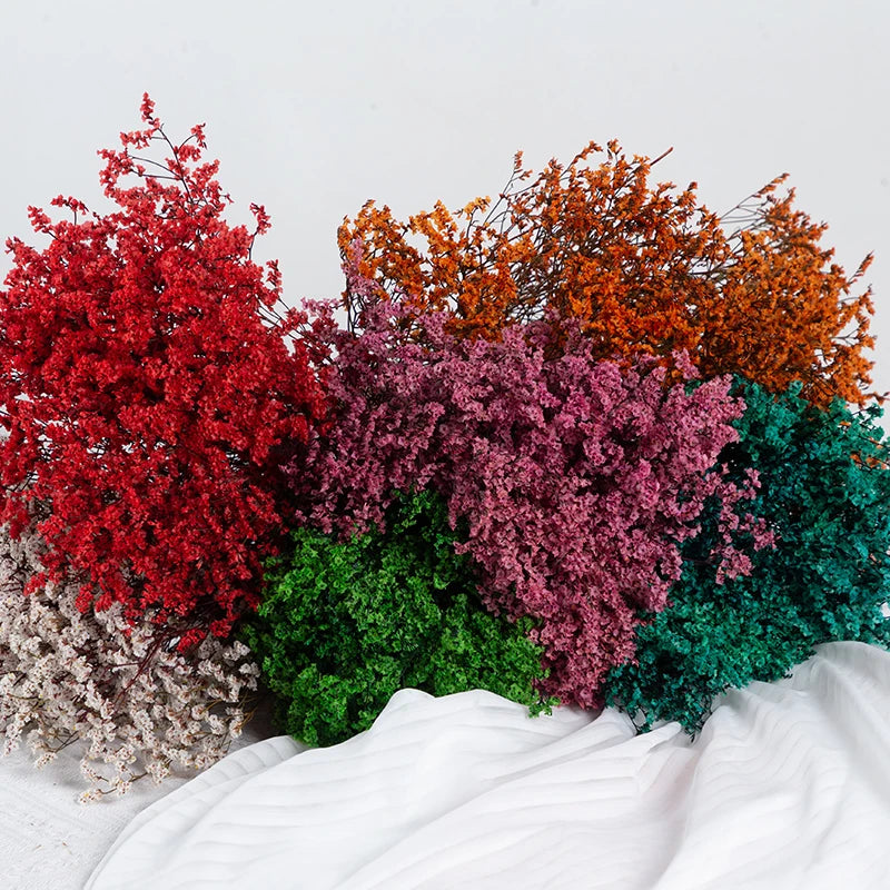 Natural Dried Real flowers