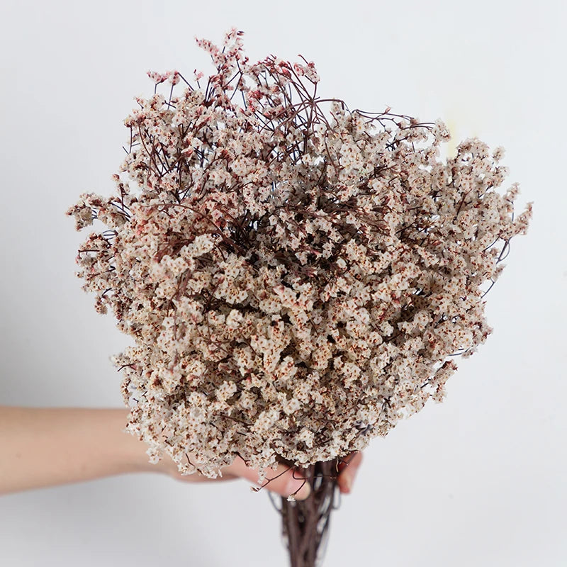 Natural Dried Real flowers